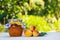 Homemade jam on a green natural background. A jar of home apricot jam and fresh apricots on a white table.