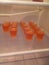 Homemade Jell-O Shots! :& x29;