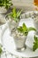 Homemade Kentucky Mint Julep