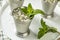 Homemade Kentucky Mint Julep