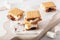 Homemade marshmallow s`mores with chocolate on crackers