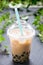 Homemade milk bubble tea in plastic cups on table.