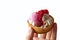 Homemade muffin in a brown sugar basket with white cream and fresh red raspberry in hand on white background close up