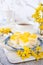 Homemade panna cotta and yellow fruits cubes sweets in coconut flakes and cup of tea, blooming forsythia decor