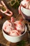 Homemade Peppermint Candy Cane Ice Cream