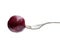 Homemade pickled baby beetroot on fork isolated on white