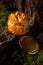 Homemade pickled honey mushrooms in a glass jar