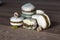 Homemade pistachio and chocolate macaroons stacked up on wooden table with pistachio nuts