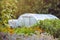 Homemade plastic greenhouse exterior with rain water saving container in organic garden field.