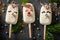 Homemade popsicles looking like cute Christmas reindeer