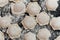 Homemade potstickers with flour laying on the black metallic surface.