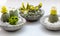 Homemade product for home decoration, group of succulent, cactus crochet in cement pot on white background