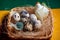 Homemade quail eggs close up view with hen candle. Easter. Protein and Healthy diet. Fresh organic quail eggs in wicker basket. Di