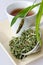 Homemade remedy - herbal plantain tea plantago lanceolata - he