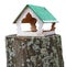 Homemade spring birdhouse mounted on an old forest stump isolated