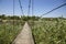 Homemade suspension bridge across the Sura River in the Dnipropetrovsk region