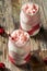 Homemade Sweet Cherry Kombucha Ice Cream Float