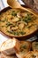 Homemade thick mushroom soup and toast close-up. vertical