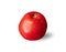 Homemade Tomato isolated. Tomato on white or invisible png background.
