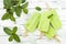 Homemade vegan green tea matcha mint coconut milk popsicles with chia seeds