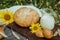 Homemade wheat bread, freshly buns, mug with farm milk, sunflower, baked goods on brown wooden background