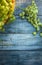 Homemade winemaking background; grape on wooden table