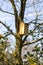 A homemade wooden birdhouse standing on a branch of a leafless tree in a garden on a sunny day. The bird hole of the nest box is