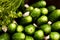 Homemage pickled cucumbers still life food photo