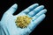 Homeopathic treatment, dried chamomile flowers in a doctor`s hand in a blue medical glove on a black background