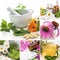 Homeopathy Collage