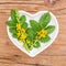 Homeopathy and cooking with agrimony