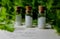 Homeopathy pills and oil in vintage bottles on wood and green background.