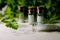 Homeopathy pills in vintage bottles on wood and green background.