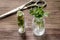 Homeopathy. Store up medicinal herbs. Herbs in glass on wooden table background