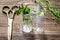 Homeopathy. Store up medicinal herbs. Herbs in glass on wooden table background