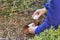 A homeowner changes a lightbulb in outdoor lighting