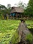 Homes in the amazon