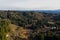 Homes in Coos County, aerial of rural Coos Bay Oregon