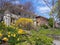 Homes with front yards with spring flowers