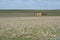 Homestead Ruins, Murraylands Region