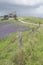 Homestead Ruins, Rolling Hills, Fields of Salvation Jane, Fleurieu Peninsula, SA