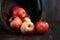 Homey Barrel Full of Red Apples on Wood Grunge Background