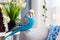 Homey budgerigar: bright blue parrot in apartment