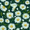 Homey daisy print for home decor