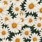 Homey daisy print for home decor