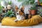 Homey scene Cute dog rests on bed, surrounded by plants