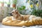 Homey scene Cute dog rests on bed, surrounded by plants
