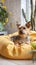 Homey scene Cute dog rests on bed, surrounded by plants