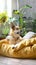 Homey scene Cute dog rests on bed, surrounded by plants