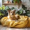 Homey scene Cute dog rests on bed, surrounded by plants